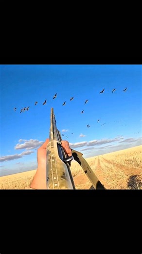 Ultimate duck hunting skills on display! Don’t blink 👀🔥 #hunting #huntingvideo