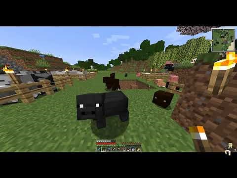BRAMBLES Minecraft: Bewitchment Mod #7