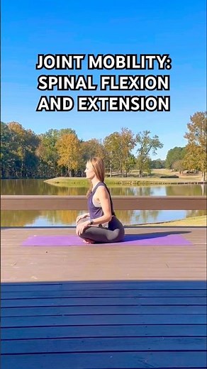 Seated Cat Cow Stretch | Gentle Spinal Flexion & Extension for Back Mobility