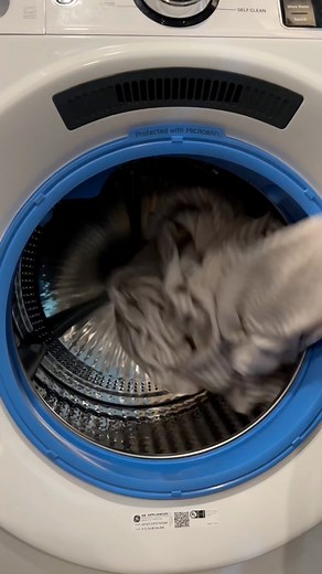 asmr apartment reset #asmr #asmrsounds #asmrvideo #cleaning | Rachel Samford - Creator