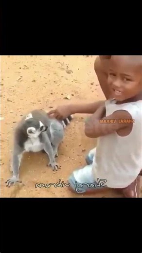 😂 Funny Comedy - Tulu