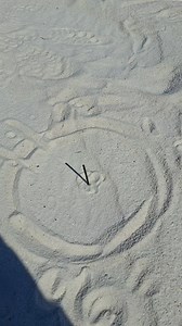 117 reactions · 3 comments | Calculando la hora con el sol. Calculando la hora en la arena o en la tierra este tips te puede ayudar en labores de campo cuando no se tiene la tecnología esto puede ser una buena a herramienta para toda persona campirana aqui te dejamos este video haber que te parece? | Jesus Alarcon | Facebook