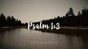Psalm 1:3 - Mini Movies