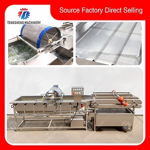 [Hot Item] Leaves Vegetables Vortex Washing Machine High Quality Washing Machine