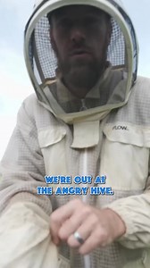 These Bees were Extremely Aggressive #farming #farmlife #nature #AggressiveBees #Beekeeping #BeeFacts #DangerousNature #DIYHives #InsectLife #NatureCuriosity #HiveBuilding #WildlifeEncounters #BeeRescue | White House on the Hill