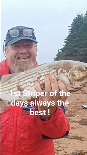 Striper fishing using our secret sauce fish bait !
