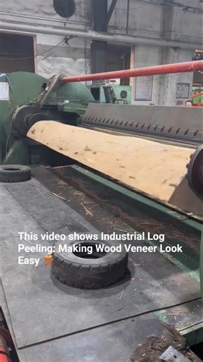 Industrial Log Peeling: Making Wood Veneer Look Easy 🪵