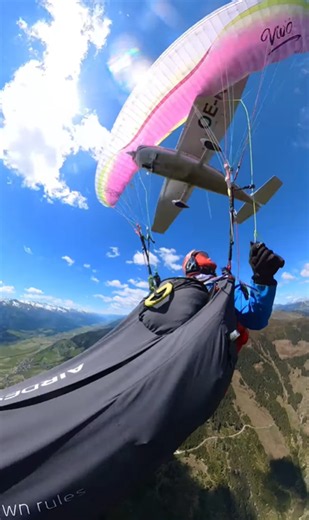 Firefighters Save Paraglider Trapped in Trees