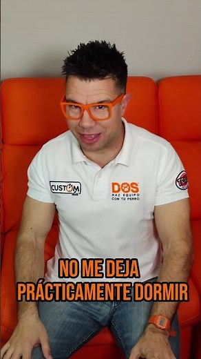 Empezar a educar a nuestro perro 🤔 |Adiestramiento Canino 🐶