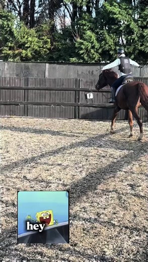 Heyy!! Sorry for this long one but please do watch 💞 summoning all the equestrians, horse lovers, horse riders, horsey girls/boys! #fyp #horses #dontflop #trending #equestrians