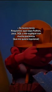Se busca novia programadora: requisitos y cómo encontrarla