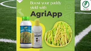 1. To magnify your crop yield. 2. To make your crop free from pest and diseases. 3. To reduce the cost of production AgriApp is with you. 4. A farmers friendly App to make your crop happy. Book now : t.ly/QNbR #technology #Agritech #savetrees #agritech #Kisan #india #agritechstartup #farmers #sustainability #bangalore #agriculture_global #farming #farmer #agriloan #Agriculture #agriworld #soil #agrifinance #contribution #agriculture #AgriApp #Agritech #paddy #agriculture | AgriApp Technologies P