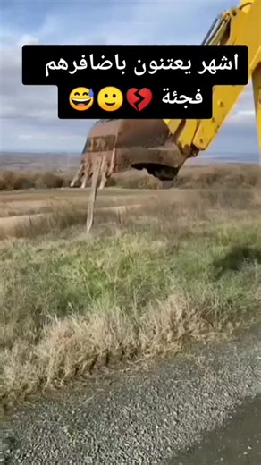 Excavator Digging in Outdoor Grassy Field