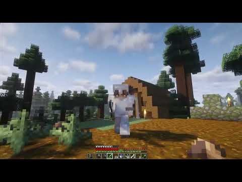 Full Diamond Armor & Naar de Nether | Minecraft Hardcore #007