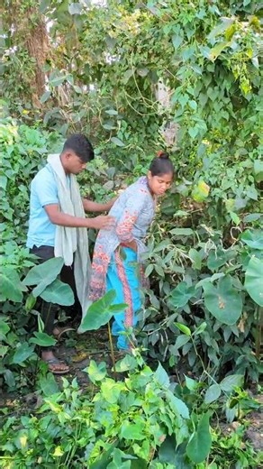 #funny #comedy #colonelkkjϟ #farming #agriculture #food #timelapse #techessentials #animal #quran