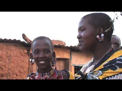 The End of Poverty? (2008)