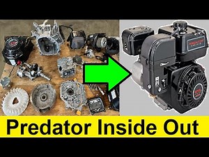 Predator Inside Out