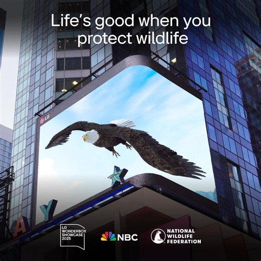 12K views · 24 reactions | Calling all art students: Join us in advocating for endangered species with original 3D art. Three student creative teams could: ️See their work on LG’s Times Square Billboard ️Be judged by award-winning professionals from NBC’s The Americas & National Wildlife Federation * Win up to $25,000 and an LG CineBeam Projector Learn more about LG WonderBox Showcase: https://www.lg.com/us/wonderbox #LifesGood | LG Global | Facebook
