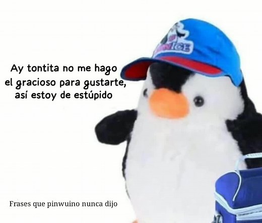 Videos de Pinwuino._.bonais (@pinwuino._.bonais) con “sonido original - Pinwuino._.bonais”