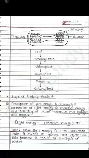 life process "" notes