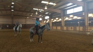 Ready to canter? Make sure you sequence your aids so your horse is prepared to make the transition. In this clip from one of my clinics, I show you what that means, and explain how to do that no matter what gait you're transitioning to. #JulieGoodnight #horsemanship Troxel Helmets Circle Y Saddles Redmond Equine Horseback Riding is Life Horse Riding | Julie Goodnight Horsemanship