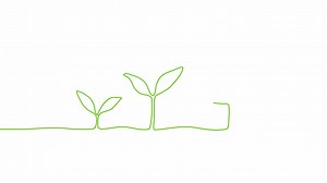 Continuous one line drawing plant germination sequence on white background. Self drawing animation. Hand drawn steps of Growing from seeds Trees, simple design, art. Growth concept. Stepped sprout. 4K | Premium Stock Video Footage
