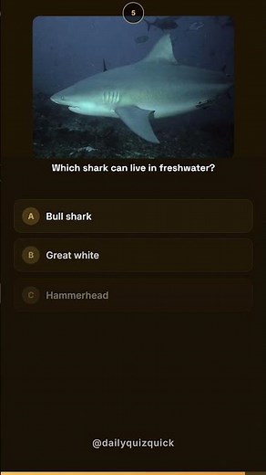 🦈 Shark Quiz (Medium) - Think You Know Sharks?