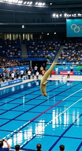Asp Caterpillar Olympic High Dive – 20m Platform POV | A-Z Animals