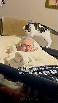 Cats vs Man 🐈