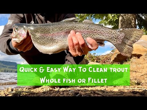 How To Clean Trout - Quick & Easy - DO THIS ASAP For The BEST Tasting Trout!