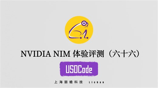 【NVIDIA NIM】体验评测系列（六十六）：USDCode