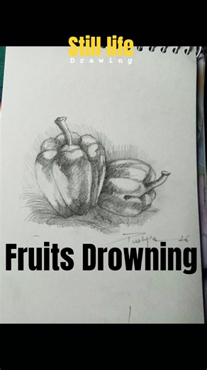 How to make Fruits Drawing #art #pencilportrsit #drawing #drawingtutorial #drawingvideosforkids