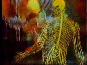 CBC David Suzuki's The Nature of Things intro 1983