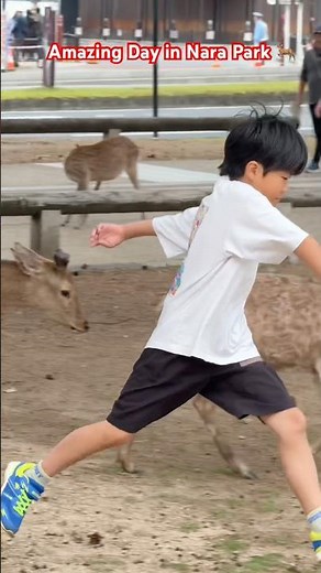 2026年奈良観光ガイド🇯🇵鹿と楽しむおすすめスポット