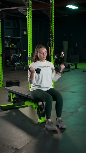 Seated Dual DB Supinated Curl