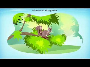 NCERT Class 7 English Honeycomb | Chapter 1: The Squirrel