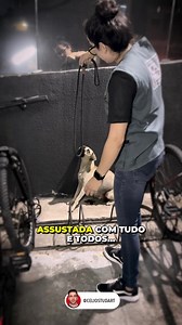 1M views · 63K reactions | SALVA! Você não vai mais passar fome e nem medo! Agora, vamos cuidar de você e dos nenéns na sua barriga! | Célio Studart | Facebook