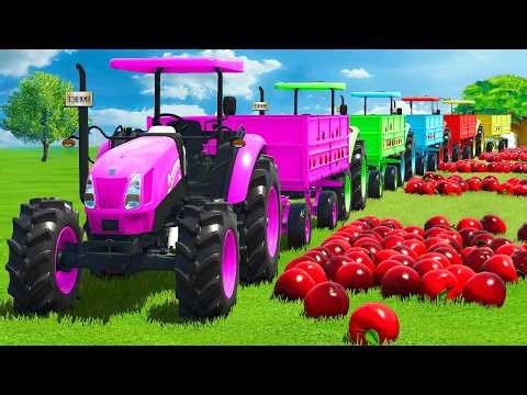 LOAD APPLES & TRANSPORT WITH COLORED TRACTORS & TRAILERS - FS25