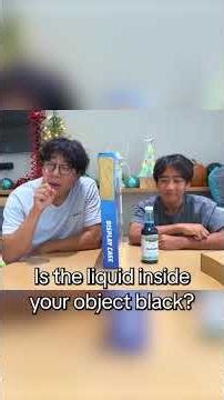 Ryan Plays Guess the Item: THE LYING CHALLENGE!