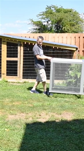 392K views · 1.9K reactions | Imagine your chickens roaming freely...