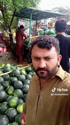 Watermelon Varieties: Exploring Sizes and Textures