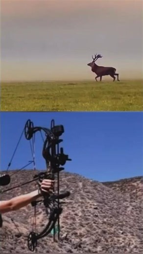 Elk Archery Hunt in the Wild | Traditional Bow Experience