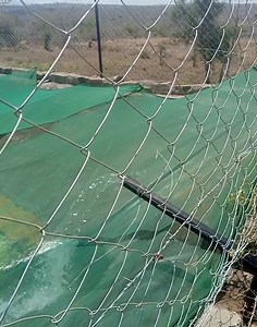 SOLAR PUMP INSTALLATION IN EMURUA DIKIR, KAJIADO COUNTY Site Location: EMURUA DIKIR Task: Complete Solar Borehole Pump Installation Peak Pump Capacity: 12,000 litres per hour Power source: 40no 275W solar panels Duration of task: 4 days #Getitrightthefirsttime Talk to us and give us your borehole details for a pump and solar quotation. We also solarize existing electric and generator powered borehole pumps. Pictured is our happy team during installation. A Very Happy customer indeed! #BenaxBoreh