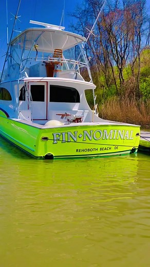 #wahoofga #wahoofishinggearandapparel #sportfish #sportfishingboat #sportfishing #fyp #boattok #fypシ #offshorefishing #f&sboats #sportfishingyacht #c&dcanal #summitmarina #foryou #boat #boating #fishing #fishinglife #offshorelife