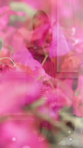 153K views · 2.7K reactions | Mirror Saga  Wedding Edition  | Divine Boutique | Facebook