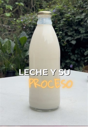 Recetas creativas con leche: de la granja a tu cocina