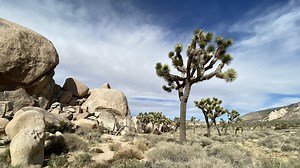 Palm Springs, California, offers a playground in the desert
