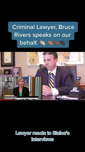 Finally, someone said it. #brucerivers #criminallawyer #elainebredehoft #deppvheard #reaction #stfu #johnnydepp #amberheard #letitgo #lawtube #lawnerd #cbs #todayshow