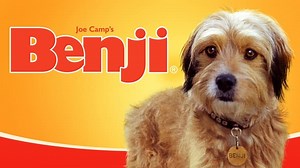 Benji - Ver Online en Español Latino