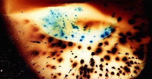 These Amazing Firework Photos Were Made Without a Camera